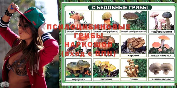 MDMA Богданович