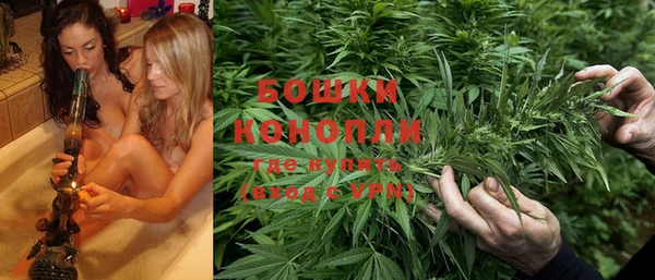 прущие крисы Белокуриха