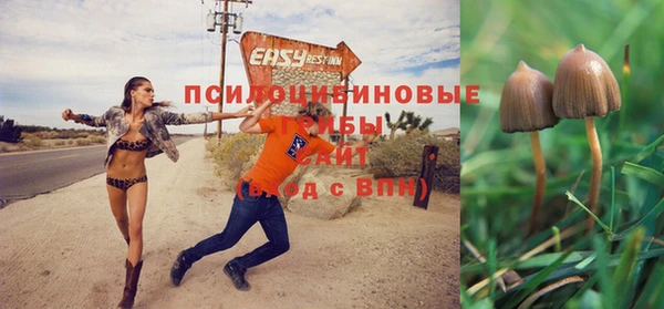 марки lsd Беломорск