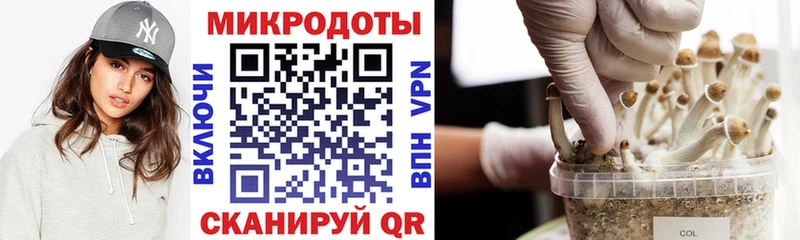 hydra   Бокситогорск  Галлюциногенные грибы прущие грибы 